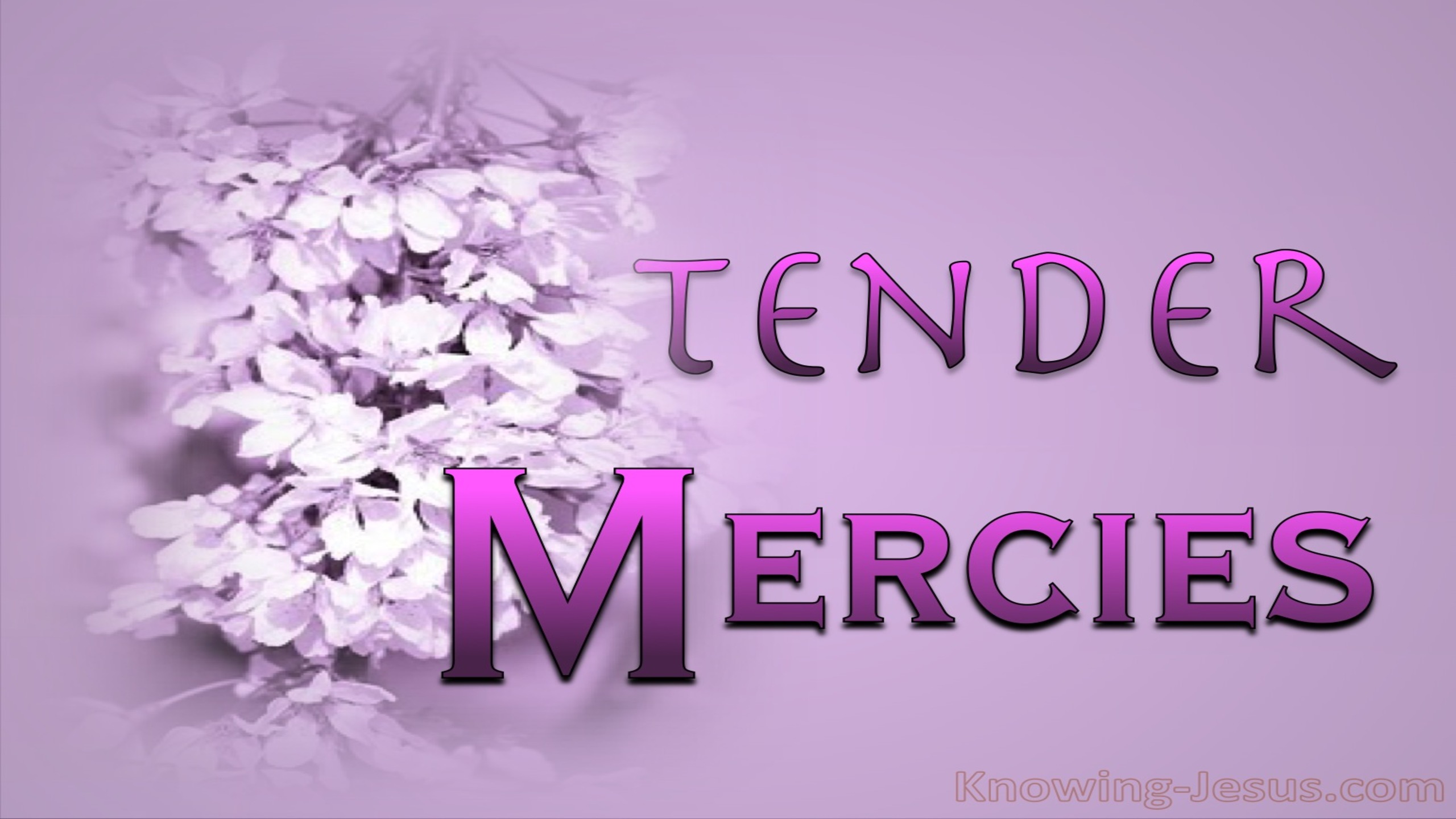 Tender Mercies (devotional)02-08 (pink)